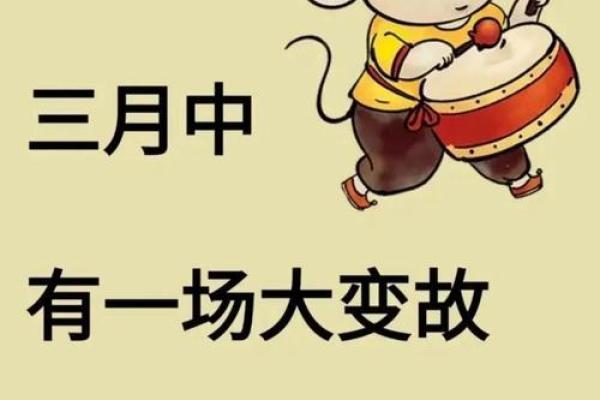 1996年属鼠：揭开鼠年命运的神秘面纱与运势解析