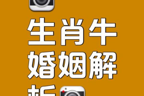 73年属牛的命运解析：解锁人生成功的秘密！