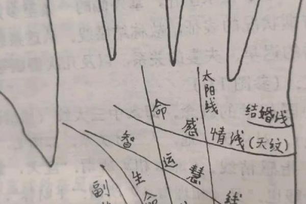 女生手掌纹理解析：揭示命运与性格的深层密码