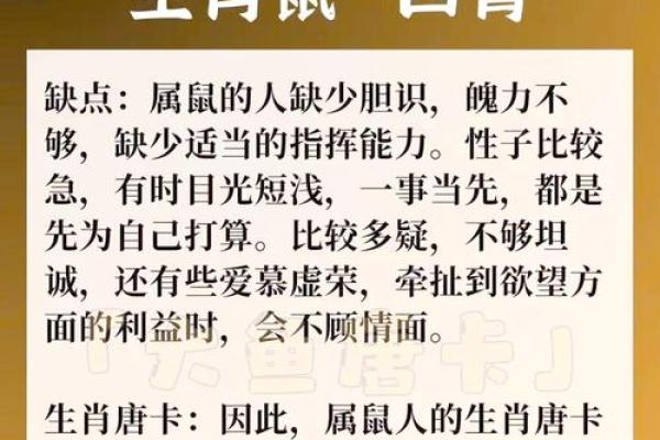 1996年属鼠人的命运与性格解析：揭示成功的秘密