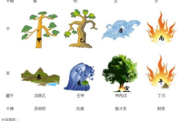 甲木命适合什么数字？探寻生命中的幸运之数！