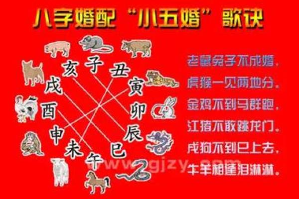 探索1976年出生人的命运与性格特征：龙年的奇妙之旅