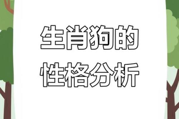 2019年属狗人的命运解析：运势、性格与事业发展