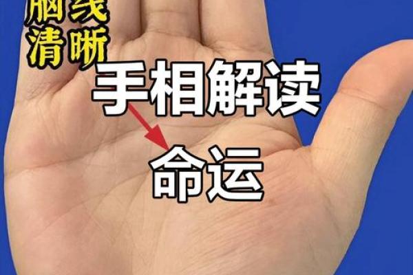 男人手宽与命运的关系：揭秘你的性格与人生趋势