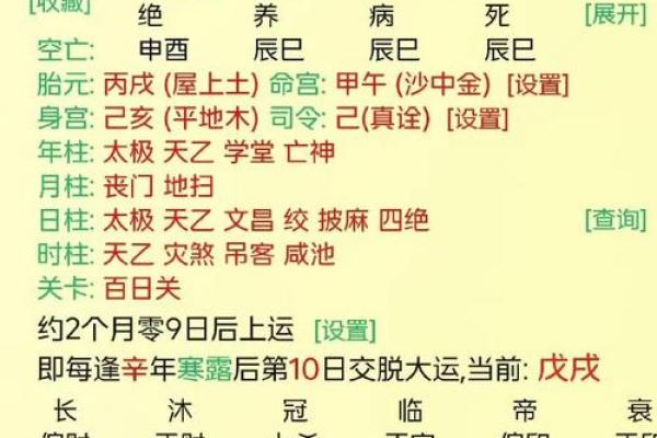 探秘丙子年出生者的命理特征与人生运势 探秘丙子年出生者的命理特征与人生运势