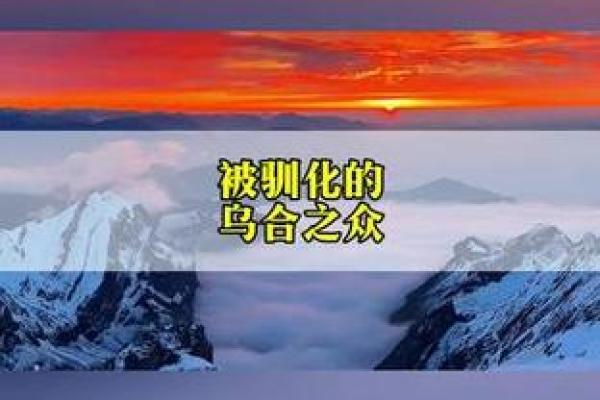 探寻人生的命运:来自歌曲的灵感与启示 探寻人生的命运:来自歌曲的灵感与启示