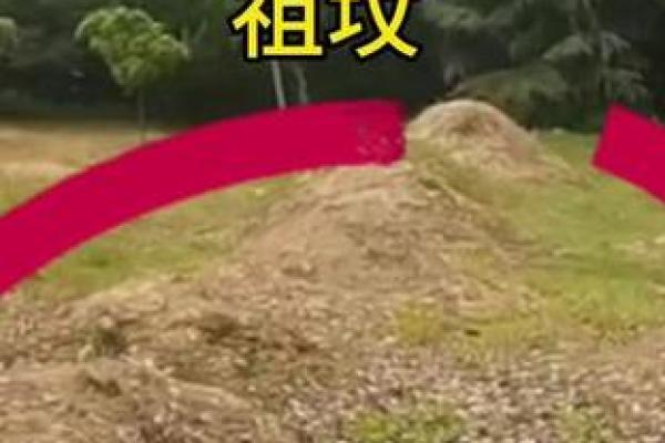 有胎记的人命运解析:命运的印记与人生的旅程 有胎记的人命运解析:命运的印记与人生的旅程