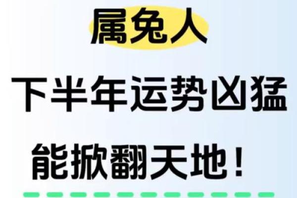 2011年出生的孩子:看属兔的运势与命理解析 2011年出生的孩子:看属兔的运势与命理解析