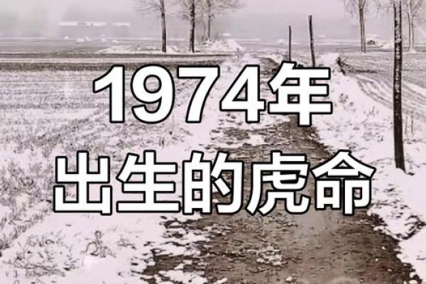 属虎之人的命运揭秘:什么样的命理让他们拥有更好的生活? 属虎之人的命运揭秘:什么样的命理让他们拥有更好的生活?