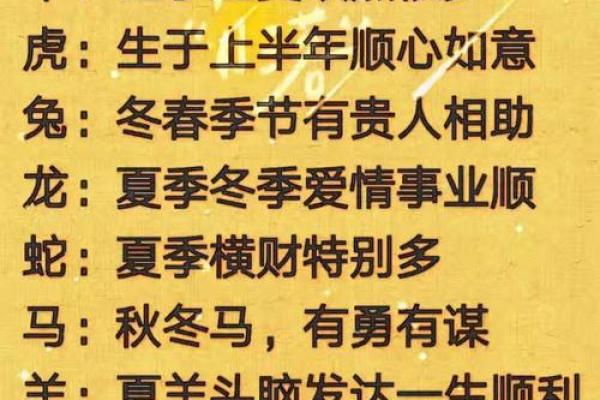 2029年属什么命?揭秘生肖与命运的奥秘 2029年属什么命?揭秘生肖与命运的奥秘