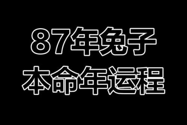 2023年水兔年:命理解析与人在生活中的运用 2023年水兔年:命理解析与人在生活中的运用