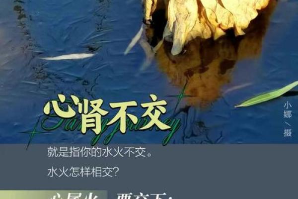 水命与火命:孤独与寡情的深刻解析 水命与火命:孤独与寡情的深刻解析