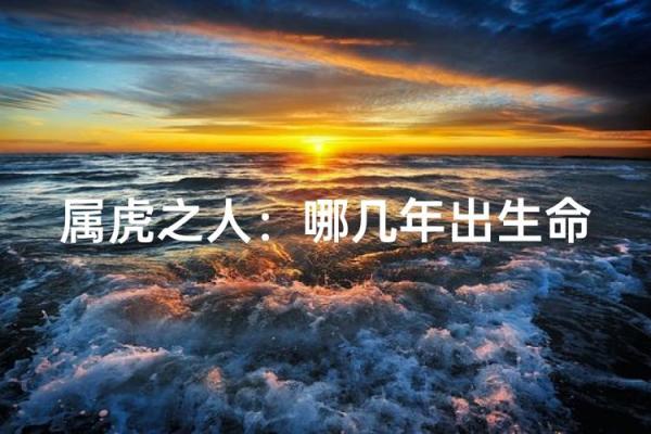 2006年属虎人的命运与生活:深度解析与建议 2006年属虎人的命运与生活:深度解析与建议