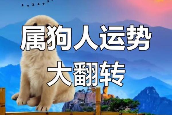 揭秘2018年:狗年里的命运和人生指南,助你把握机会,迎接好运! 揭秘2018年:狗年里的命运和人生指南,助你把握机会,迎接好运!