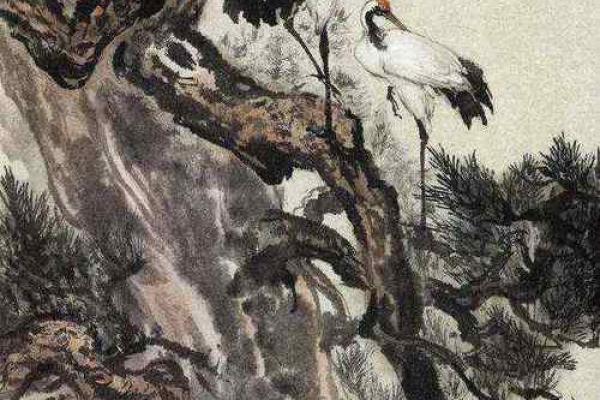 探秘船底木命：独特命理与人生启示