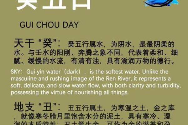 探讨壬午日柱：最佳命理解析与人生指导