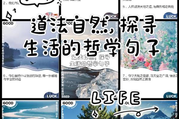 算命与卜卦：探寻自然快乐的智慧之道