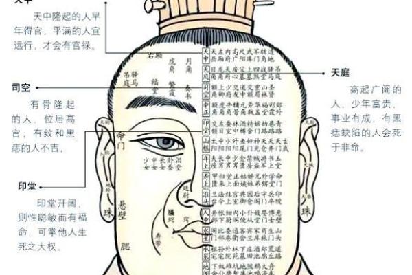 测流年：如何通过流年来洞察人生命运