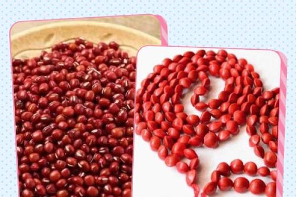 红豆的宝宝是什么命?揭秘红豆寓意与命理的奇妙关系 红豆的宝宝是什么命?揭秘红豆寓意与命理的奇妙关系