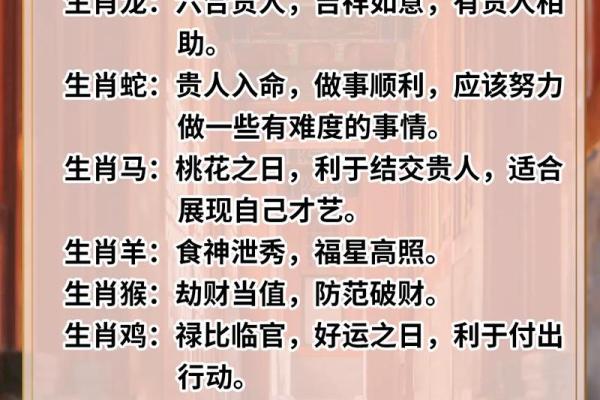 2023年,运势解析:探索你的命理与未来趋势 2023年,运势解析:探索你的命理与未来趋势