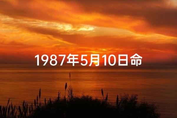 揭秘妾室命格:是怎样的命运决定了她们一生的角色? 揭秘妾室命格:是怎样的命运决定了她们一生的角色?