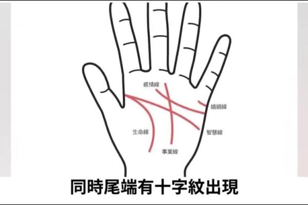 手粗糙手纹多,命运暗藏的玄机与启示 手粗糙手纹多,命运暗藏的玄机与启示