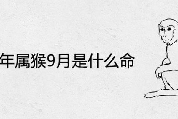 丙子生人命格分析:探秘火鼠之人生之奥秘 丙子生人命格分析:探秘火鼠之人生之奥秘