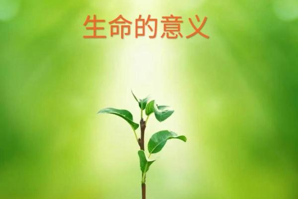 盛命:探索生命的意义与价值,追寻内心的和谐与幸福 盛命:探索生命的意义与价值,追寻内心的和谐与幸福