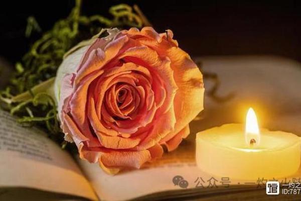 命若琴弦,雾中追梦:在迷雾中寻找生活的答案 命若琴弦,雾中追梦:在迷雾中寻找生活的答案