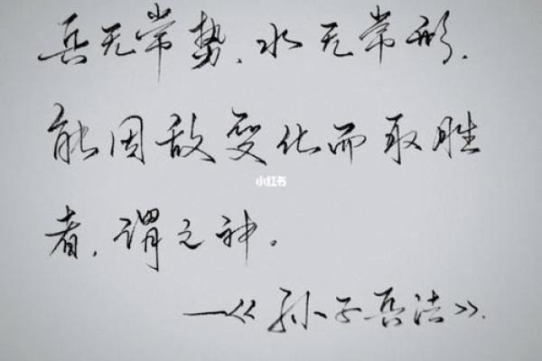 命里官司与涝灾：生活中的无常与对策探讨