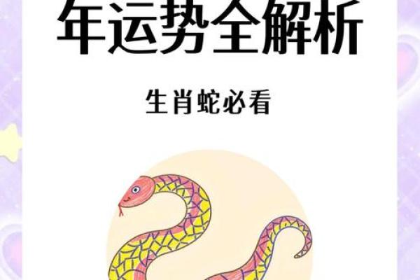 揭秘2011年属蛇的命运与运势解析