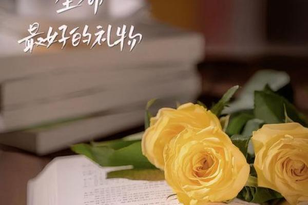 没人疼爱是什么命格：孤独中的成长与蜕变