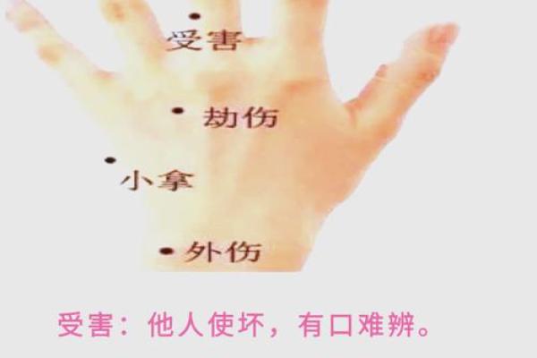 手背有肉肉，命运的秘密与幸福的象征