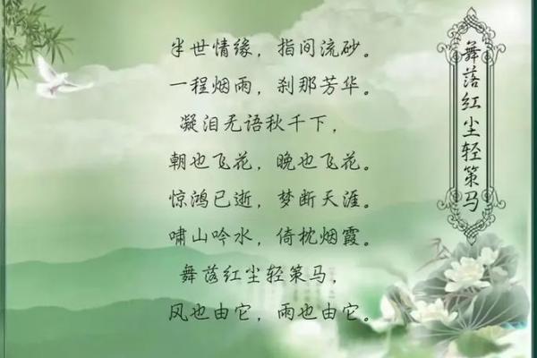 命里带仙气，人生如梦般绚烂夺目