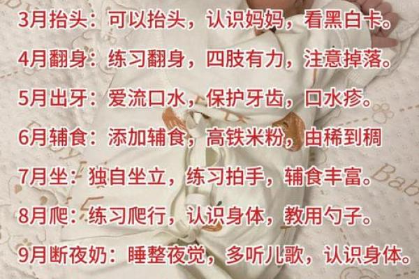 早产宝宝的人生旅程:他们将如何书写自己的命运? 早产宝宝的人生旅程:他们将如何书写自己的命运?