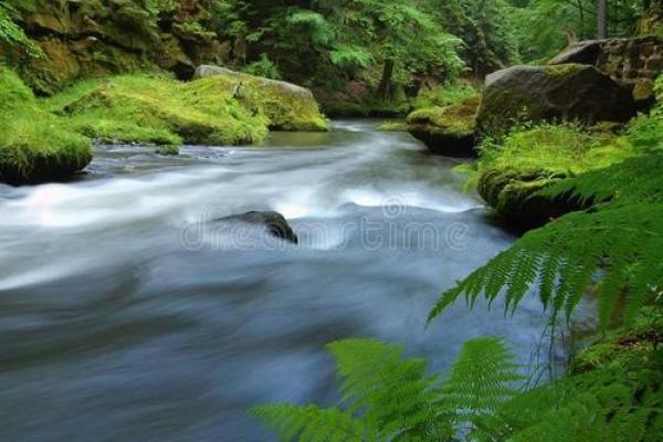 涧下水命的人适合的颜色与生活智慧之道 涧下水命的人适合的颜色与生活智慧之道