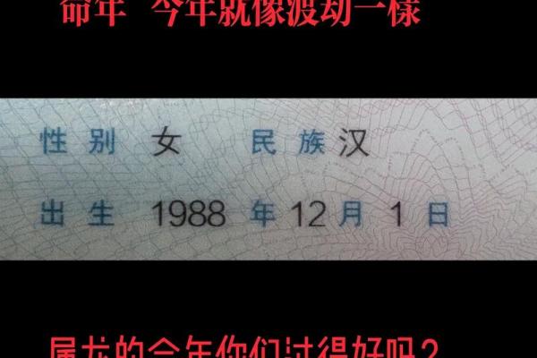 1988年属什么命?细解属龙之年的命运与性格特点 1988年属什么命?细解属龙之年的命运与性格特点