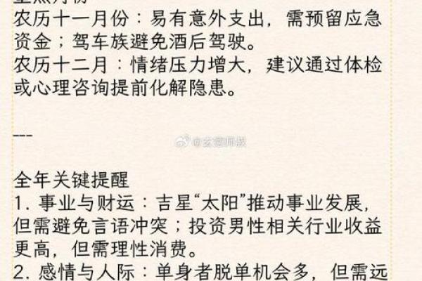 63岁属马的命运分析：智慧与挑战并存的人生旅程