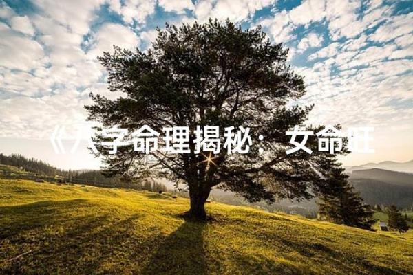 29日出生的人:探秘命理中的秘密与特质 29日出生的人:探秘命理中的秘密与特质