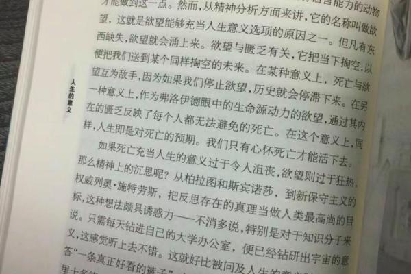 荣辱之命：探寻尊严与价值的深层意义