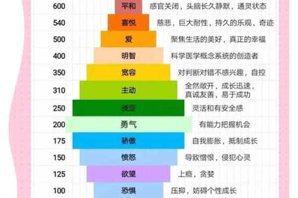 命局能量强的特征：探索进取心与命主人生之路