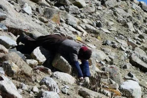 解读申命记的深意与预表:走向信仰的旅程 解读申命记的深意与预表:走向信仰的旅程