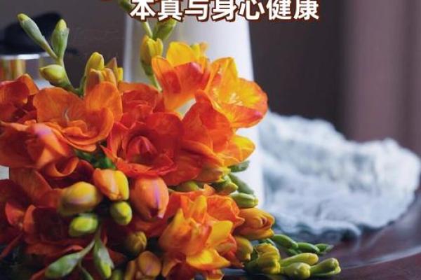 男命流年与怀孕的美好契机:如何把握生命的节奏 男命流年与怀孕的美好契机:如何把握生命的节奏