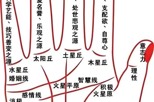 男生指甲弯曲的命运解析:深藏于指尖的秘密与人生哲学 男生指甲弯曲的命运解析:深藏于指尖的秘密与人生哲学