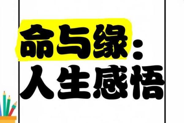 探秘“命接一条命”:关于人生和友谊的深刻启示 探秘“命接一条命”:关于人生和友谊的深刻启示