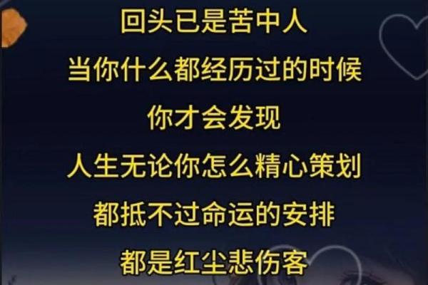 自有天命的人:命运的掌舵者与追梦者 自有天命的人:命运的掌舵者与追梦者