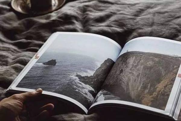 青雀为何不能走向六命之路:探秘命理的深邃内涵 青雀为何不能走向六命之路:探秘命理的深邃内涵