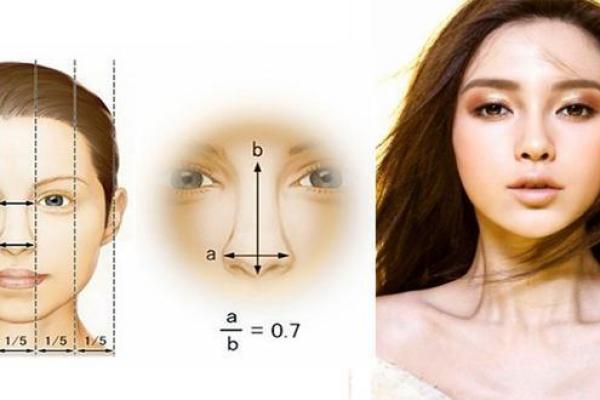 揭开大林木的女人命运之谜：从神秘性格到命理分析