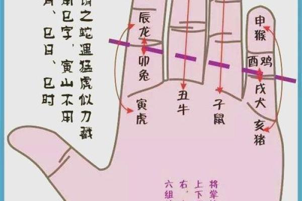 如何解读命局中的戊申相克关系，从命理看人生方向与调和之道