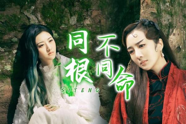 骑马坐轿，命运的不同选择与人生智慧